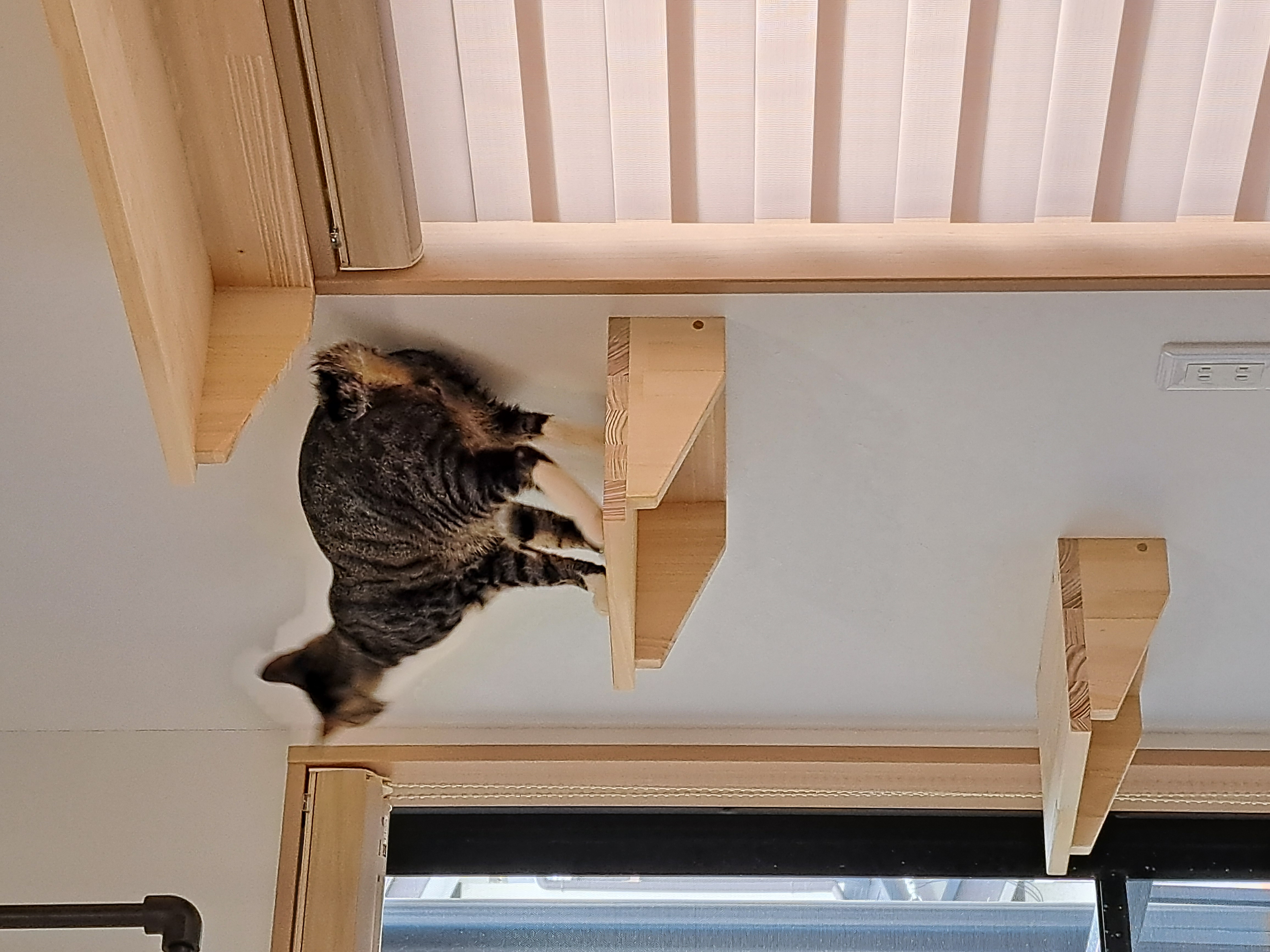 ペットと快適に暮らせる空間づくり